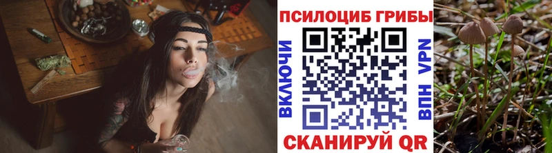 Псилоцибиновые грибы Magic Shrooms  kraken сайт  Новохопёрск  где купить наркоту 